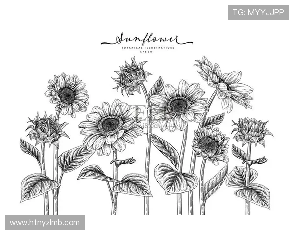 足球天才哈弗茨的艺术素描展现他的激情与梦想